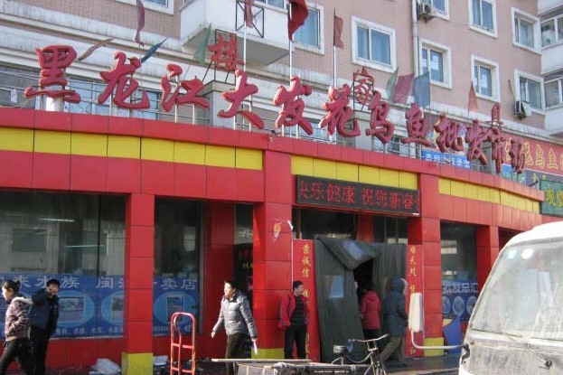 哈尔滨大发花鸟鱼大市场.jpg