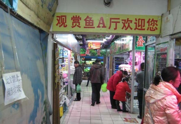 哈尔滨大发花鸟鱼大市场1.jpg